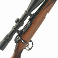 BSA CF2  22 hornet - threaded with decent scope